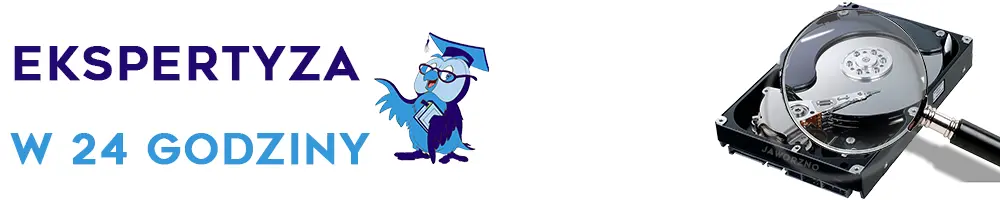 dysk twardy, karta SD, eksprtyza darmowa