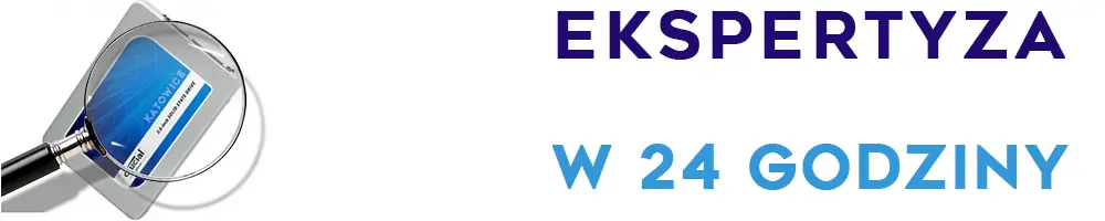 darmowa ekspertyza, dysk twardy, karta sd